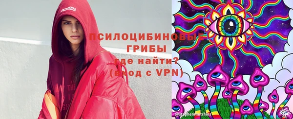 мяу мяу мука Арсеньев